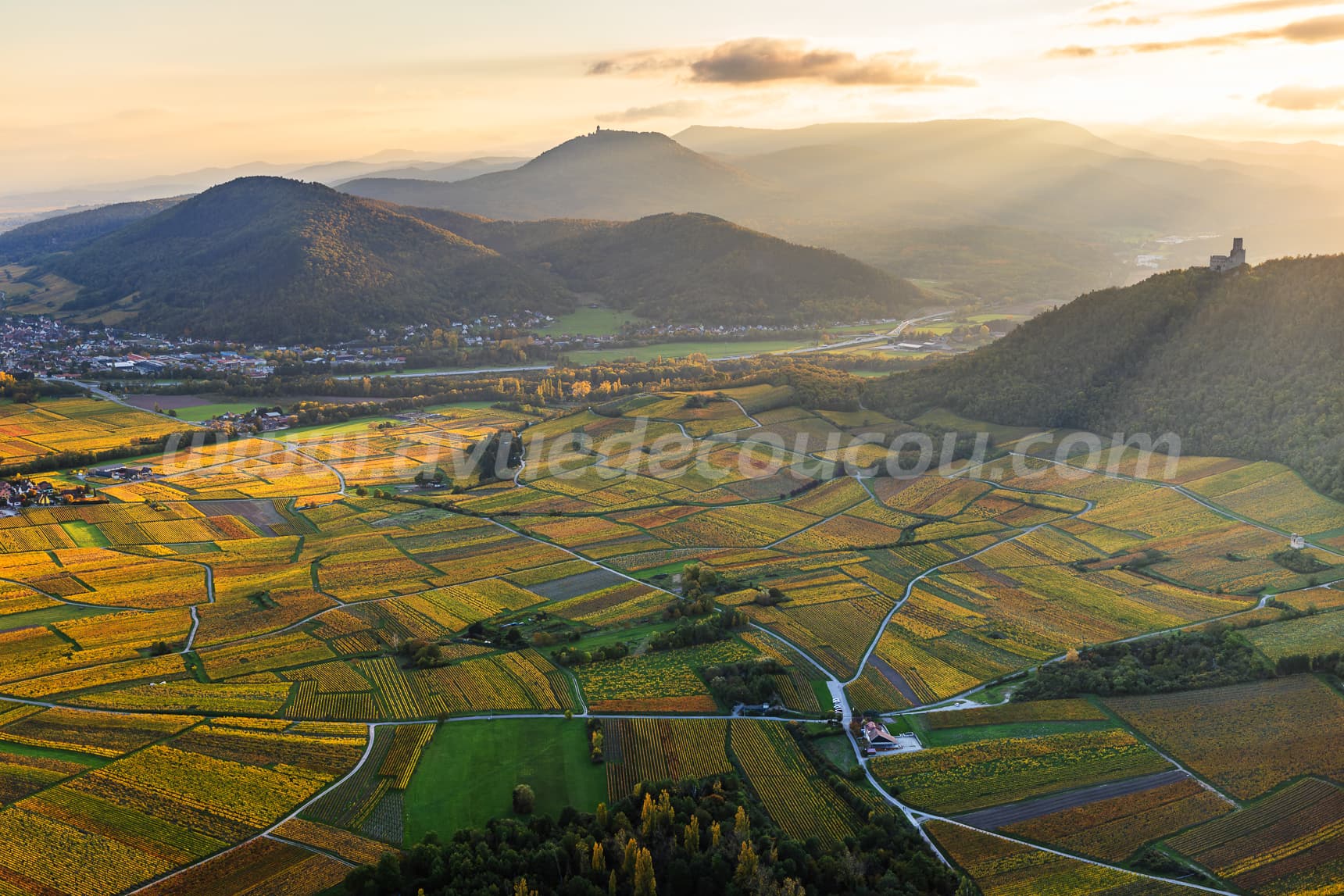 Couchant a lOrtenbourg