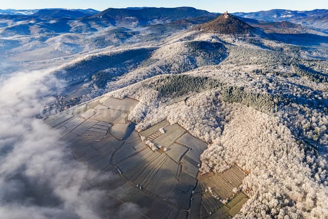 Givre sur le Haut-Koenigsbourg