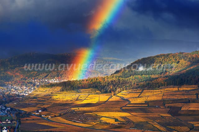 Miracle à Guebwiller