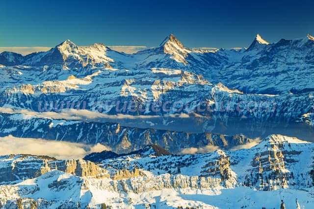 Hiver Bernois