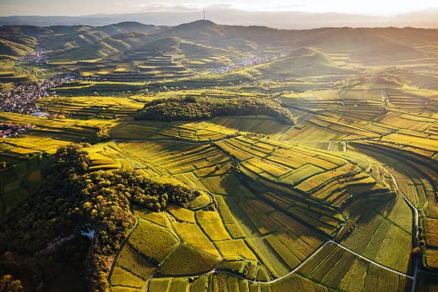 Levant au Kaiserstuhl