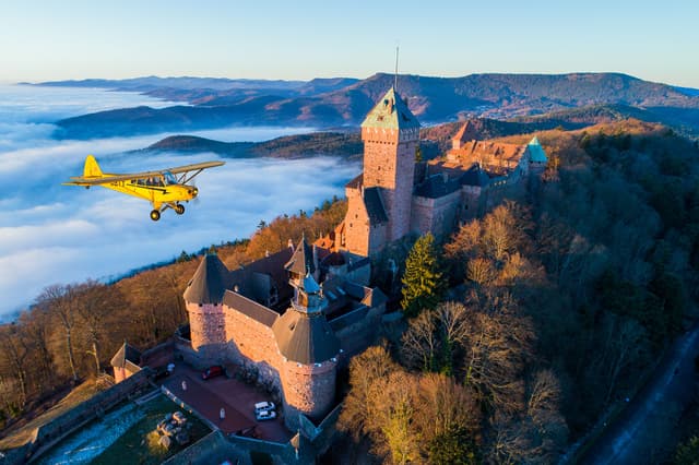 Piper et Haut-Koenigsbourg