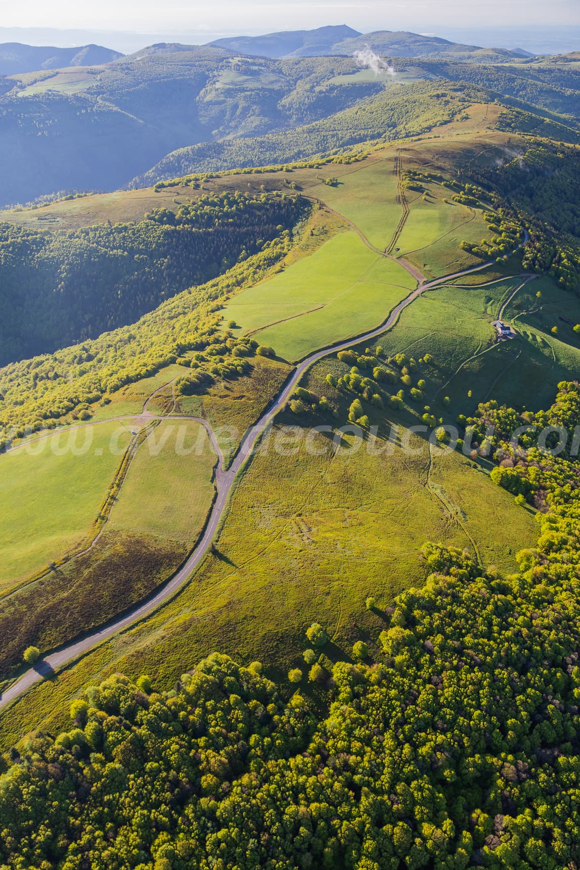 Route des Crêtes – printemps
